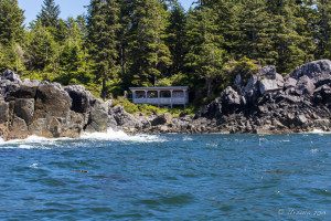 Landscape: Hot Springs Cove from the water, Clayoquot Sound, BC.