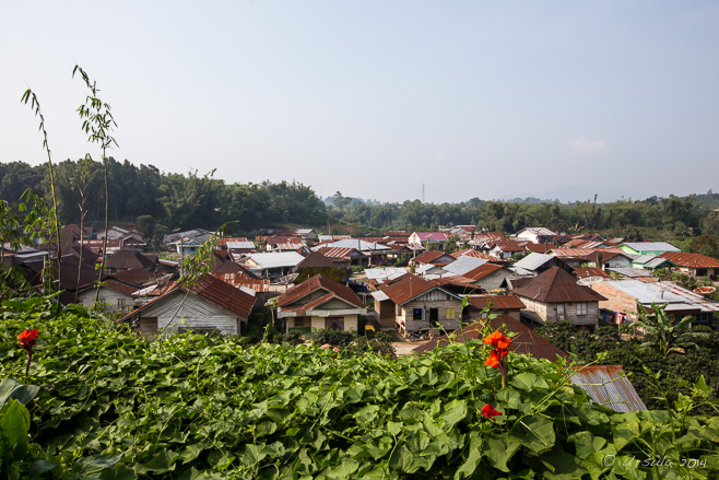 rusty corrugated tin rooftops of Petseren, North Sumatra