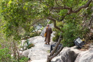 Old Buddhist Monk walking downstairs, Nan Putuo Temple, Xiamen, Fujian Province, China