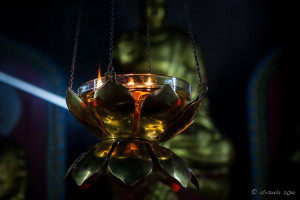 Oil Lamp burning in a dark shrine, Nan Putuo Temple, Xiamen, Fujian Province, China