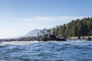 Landscape: rocky Coast Clayoquot Sound, BC