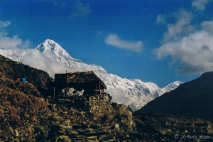 A small hut on a terraced hill; Hiunchuli behind, Nepal