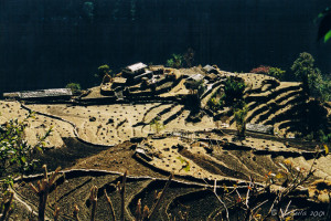Rocky Terraced Fields, the Annapurnas, Nepal