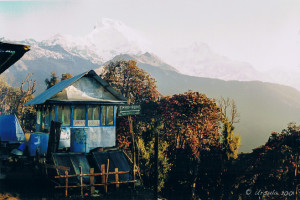 A wooden shelter, Tadapani, the Annapurnas, Nepal