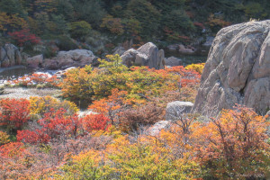 Autumn Colours, Patagonia Argentina