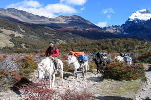 Pony Train, Cerro Torre trails, Patagonia Argentina