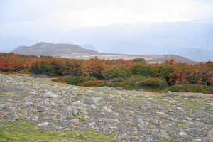 Landscape: Loma del Pliegue Tumbado, Patagonia Argentina