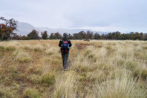 Woman walking through grass, Loma del Pliegue Tumbado, Patagonia Argentina