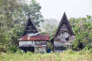 Rumah Bolon in Disrepair, Samosir Island, North Sumatra
