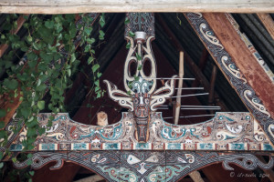 Toba Batak Buffalo on the Roof of a Rumah Bolon, Samosir Island, North Sumatra