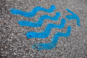 Blue paint on asphalt, Balade des Fontaines, Aigle, CH