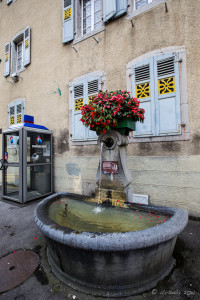 Fontaine Rue Colomb, Fountain 25, Aigle, Switzerland