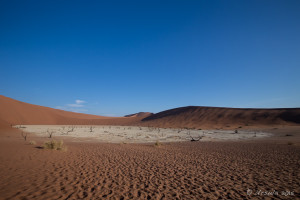 Deadvlei, Namib-Naukluft Park, Namibia