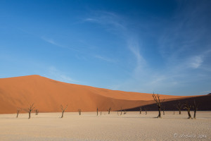 dead trees, Deadvlei, Namib-Naukluft Park, Namibia