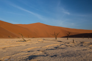 Tripod in Deadvlei, Namib-Naukluft Park, Namibia