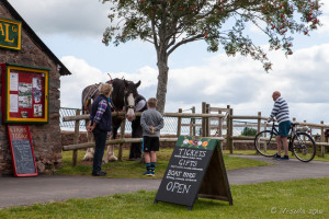 A ticket-office chalkboard and a shire horse, Tiverton Canal Company, Devon UK