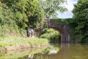 Man and shire horse on the towpath, Tiverton Canal, Devon UK