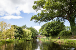 Peaceful canal landscape, Tiverton, Devon UK