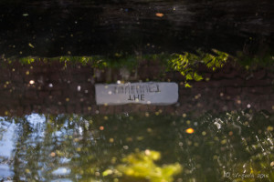 Reflection of Old Aqueduct in water, Tiverton Canal, Devon, UK