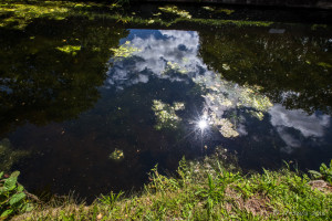 Sunflare reflection in aqueduct waters, Tiverton Canal, Devon, UK