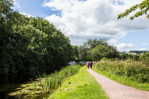 The Tow Path, Tiverton Canal, Devon UK