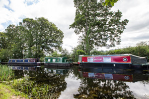 Canal Boats on Tiverton Canal, Devon UK