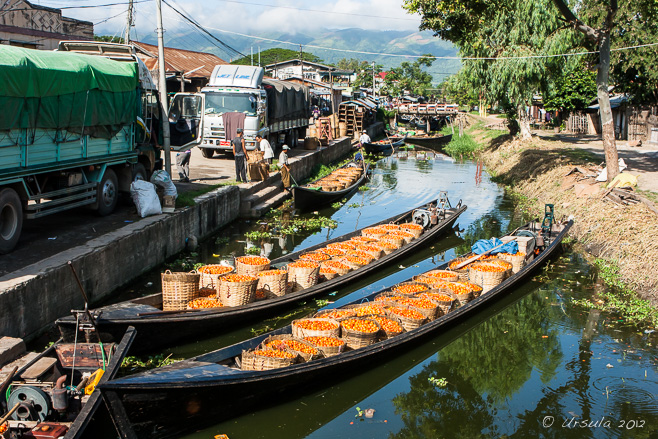 Tomatoes in baskets in boats, Nyaung Shwe, Myanmar