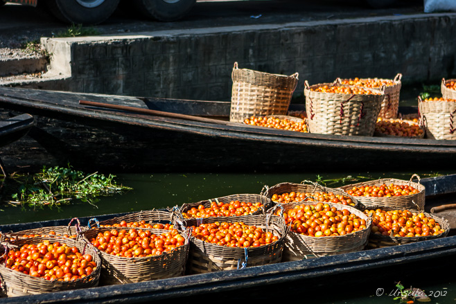 Tomatoes in baskets in boats, Nyaung Shwe, Myanmar