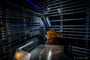 Yoda puppet in the entrance to Star Wars and the Power of Costume exhibit in the EMP, Seattle