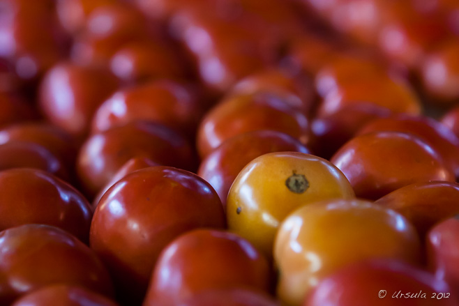 Close-up: Tomatoes, Nyaung Shwe, Myanmar