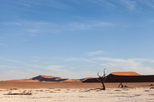 Deadvlei Landscape, Namib-Naukluft Park, Namibia
