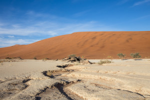 Parched Clay and camel thorn trees, Deadvlei, Namib-Naukluft Park, Namibia