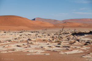 White clay curling on the red sands, Deadvlei, Namib-Naukluft Park, Namibia