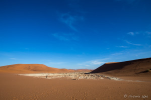 Clay pan, Deadvlei, Namib-Naukluft Park, Namibia