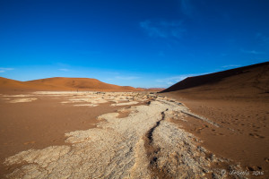 Parched Clay and camel thorn trees, Deadvlei, Namib-Naukluft Park, Namibia
