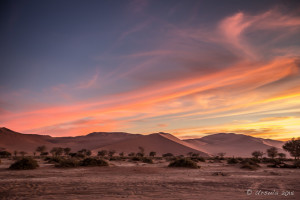 Morning light over the Dunes, Deadvlei, Namib-Naukluft Park, Namibia