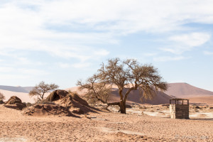 Thorntree and outdoor toilet, Deadvlei, Namib-Naukluft Park, Namibia