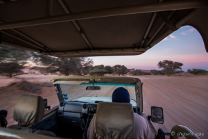 Jeep ride, Deadvlei, Namib-Naukluft Park, Namibia