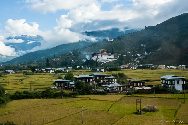 Morning Mists over the Paro Valley, Western Bhutan