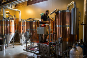 Man among copper beer vats, Potters Hotel Brewery Resort, Nulkaba AU