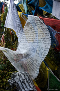 White prayer flag, Dochu La Chorten, Bhutan