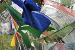Prayer flags on the Wind, Dochu Pass, Bhutan