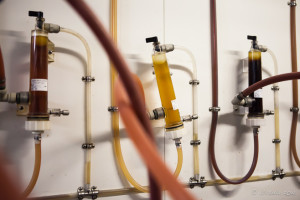 Beer tubes in a fridge, Potters Hotel Brewery Resort, Nulkaba AU