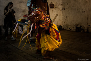 Stag Practicing Back-Bends, Wangduephodrang Dzongkhag Dzong, Central Bhutan.