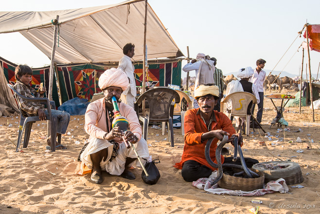 Kalbeliya Gypsy Snake Charmers, Pushkar Fair, Rajasthan