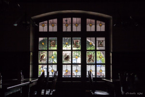 Stained Glass Window from inside the Schneider Brewery, Kelheim