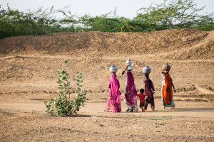 Women with water pots on their heads, Thar Desert Rajasthan