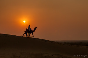 Man riding a Camel against an orange sun, Thar Desert Rajasthan