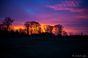 Fiery orange and purple sunrise over trees, Burghill UK
