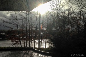 Wet street from under an umbrella, Burghill UK